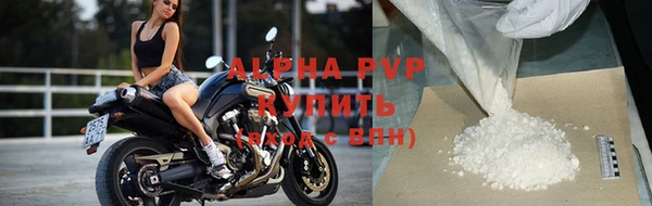 стафф Медвежьегорск