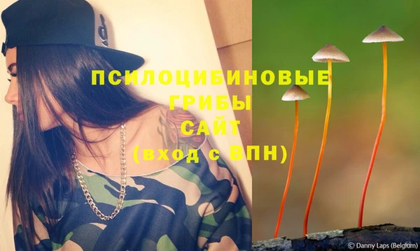 стафф Медвежьегорск