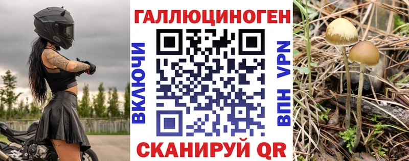 Псилоцибиновые грибы мицелий  Холмск 